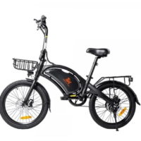 Screenshot 2024-01-17 203326 electric bike kukirin