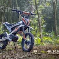 X1 Elektrinis krosinis motociklas KuKirin X1 2000W(2026 m.)